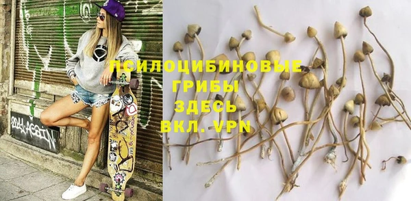 spice Алексин