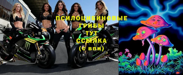 spice Алексин