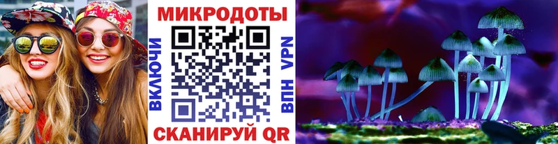 Купить закладки  Моршанск  Галлюциногенные грибы Psilocybine cubensis 